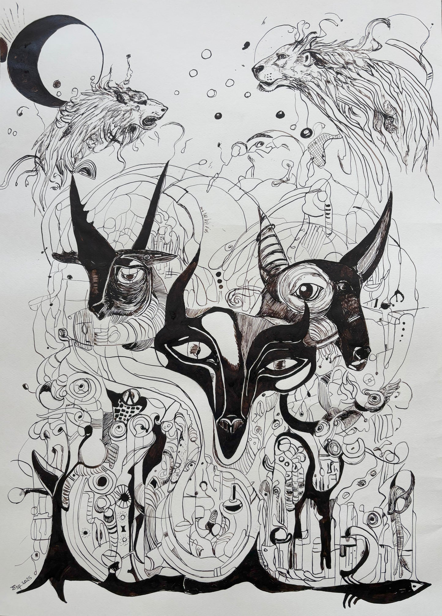 Anima Mundi