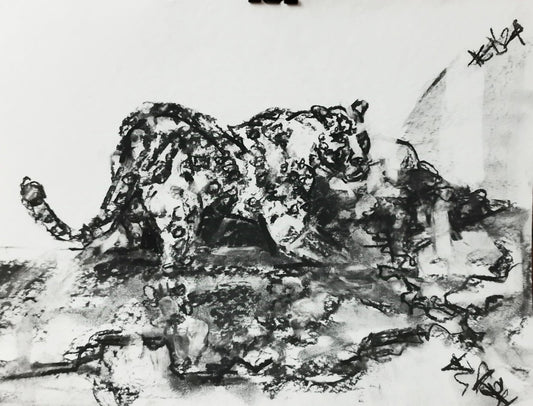 Studiu Jaguar 1/4