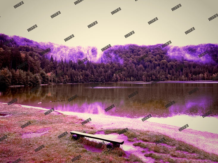 Ceața violetă